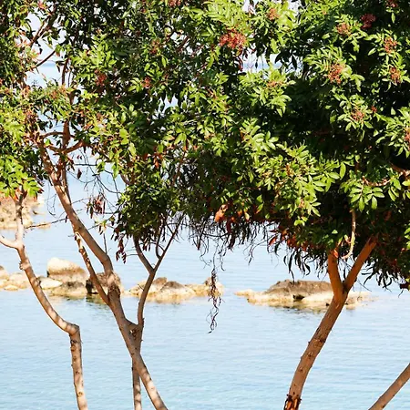 Hotel apartamentowy Sirena Bay House And Luxury